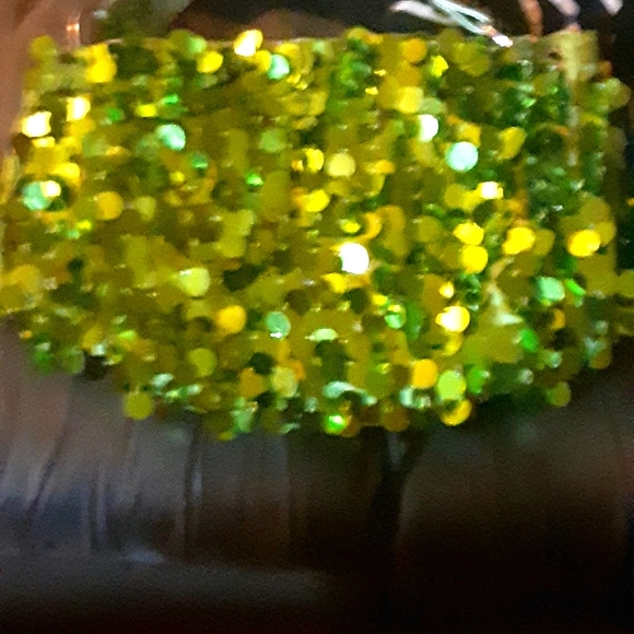 Green Gypsy Tote with zipper - Picture 6 of 7